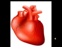 День сердца методическая разработка по зож (3, 4 класс)