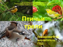 Птичьи трели презентация к уроку по окружающему миру