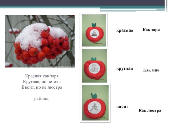 Красная как заря Круглая, но не мяч Висит, но не люстра