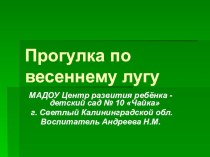 Итоговая НОД по развитию речи в старшей группе по теме: Прогулка по весеннему лугу план-конспект занятия по развитию речи (старшая группа) по теме