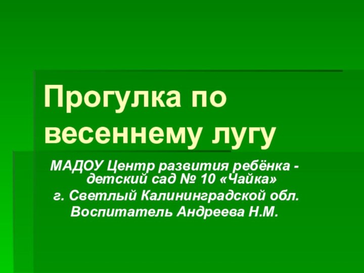 Прогулка по весеннему лугуМАДОУ Центр развития ребёнка - детский сад № 10