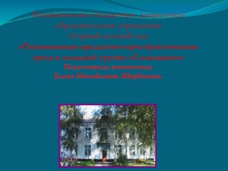 Развивающая предметно-пространственная среда презентация