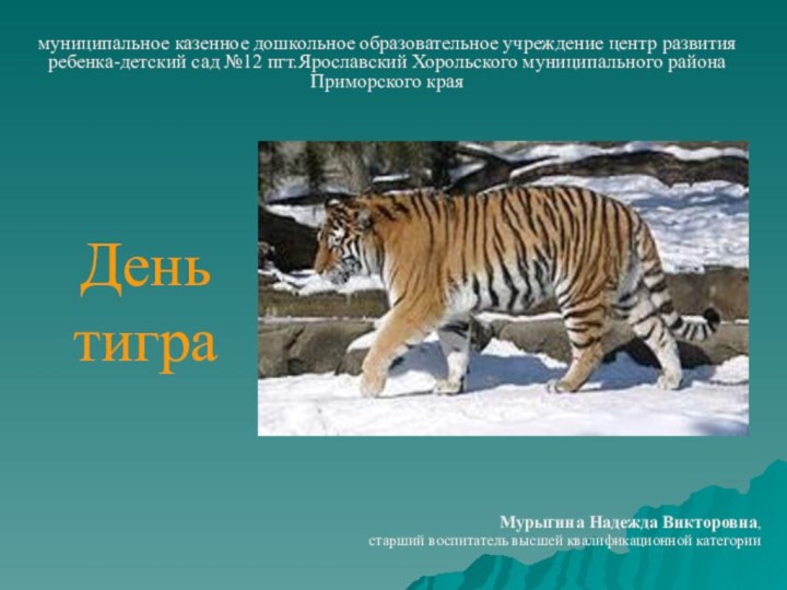 День тиграМурыгина Надежда Викторовна, старший воспитатель высшей квалификационной категориимуниципальное казенное дошкольное образовательное