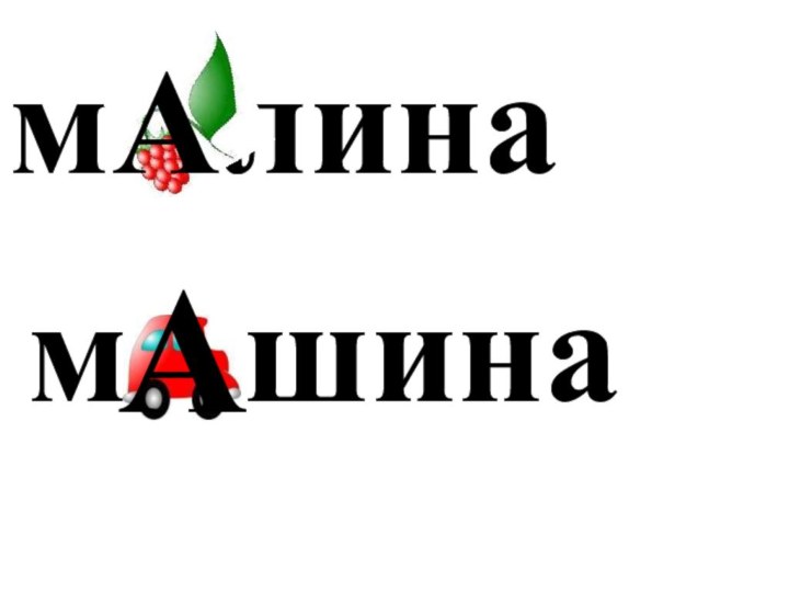 м . шинам . линаАА