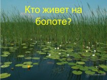 Кто живет на болоте? презентация к уроку по окружающему миру (старшая группа) по теме