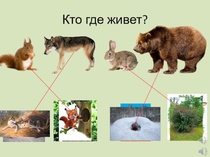 Кто где живет?