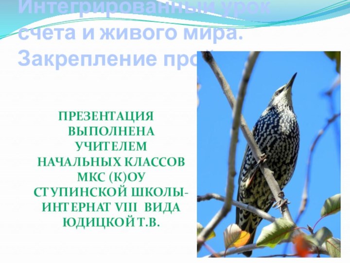 Интегрированный урок счета и живого мира. Закрепление пройденного.Презентация выполнена учителем начальных классов