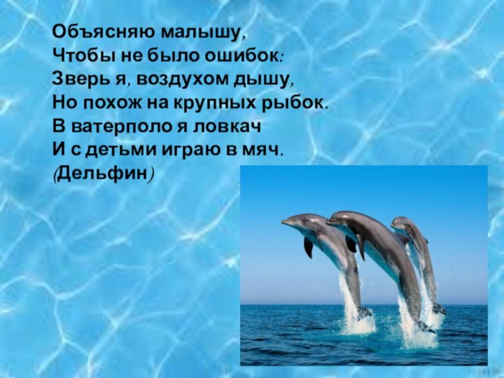 Объясняю малышу,Чтобы не было ошибок:Зверь я, воздухом дышу,Но похож на крупных рыбок.В