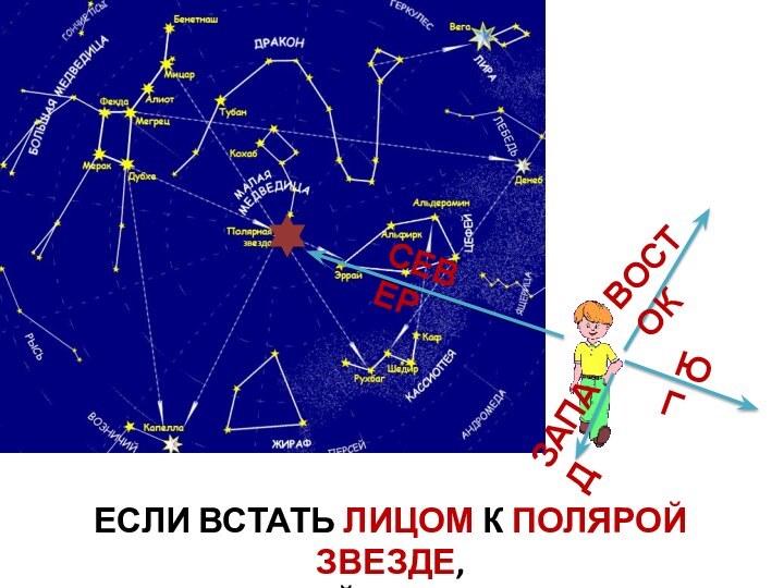 ЕСЛИ ВСТАТЬ ЛИЦОМ К ПОЛЯРОЙ ЗВЕЗДЕ, ТО ПЕРЕД ТОБОЙ БУДЕТ НАПРВЛЕНИЕ НА СЕВЕРСЕВЕРЮГВОСТОКЗАПАД