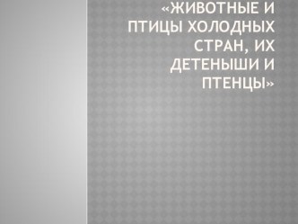 Презентация Животные и птицы холодных стран , их детеныши и птенцы презентация к уроку по развитию речи (старшая группа) по теме