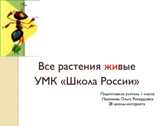 Презентация к конспекту урока по окружающему миру Как живут животные? презентация к уроку по окружающему миру (1 класс)