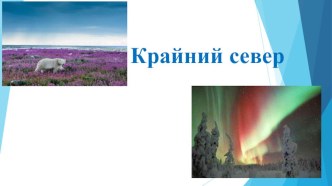 презентация Крайний север презентация к уроку по окружающему миру (старшая группа)