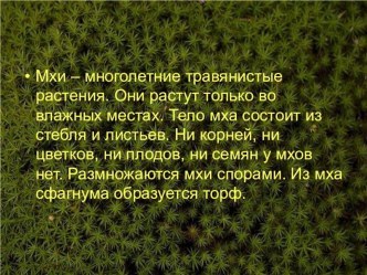 Презентация Мхи и папоротники для работы по предмету Естествознание 7 класс адаптированная основная образовательная программа для детей с умственной отсталостью (вариант С) презентация к уроку по окружающему миру