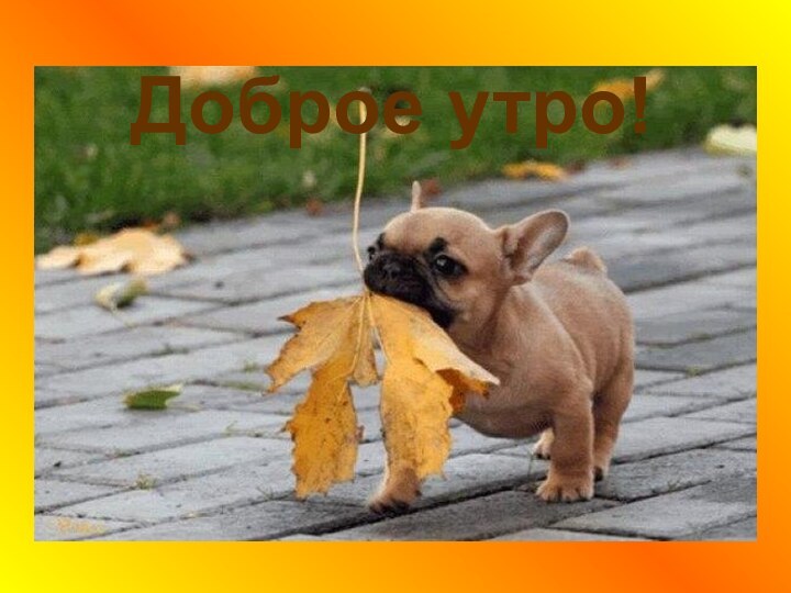 Доброе утро!