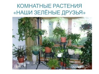 Конспект занятия по экологическому воспитанию в старшей группе. план-конспект занятия по окружающему миру (старшая группа) по теме