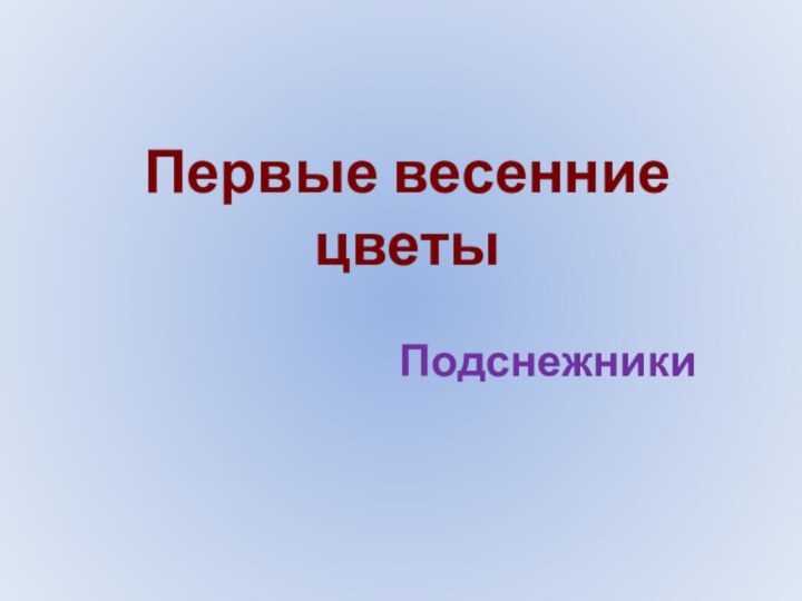 Первые весенние цветыПодснежники