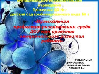 Музыкальная предметно-развивающая среда ДОУ как средство эмоционального развития ребенка- презентация презентация