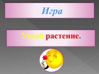 Игра  Узнай растение. презентация урока для интерактивной доски по окружающему миру (1 класс)