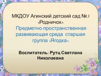 Предметно-пространственная развивающая среда старшая группа Ягодка презентация к уроку (старшая группа)