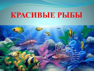 Презентация к уроку ИЗО 1 класс Красивые рыбы презентация к уроку по изобразительному искусству (изо, 1 класс)