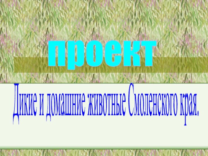 Дикие и домашние животные Смоленского края.проект