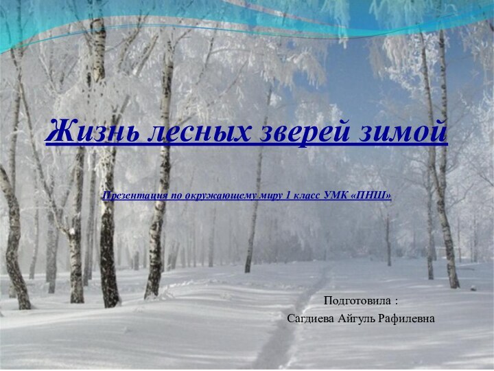 Жизнь лесных зверей зимой  Презентация по окружающему миру 1 класс УМК «ПНШ»Подготовила :Сагдиева Айгуль Рафилевна