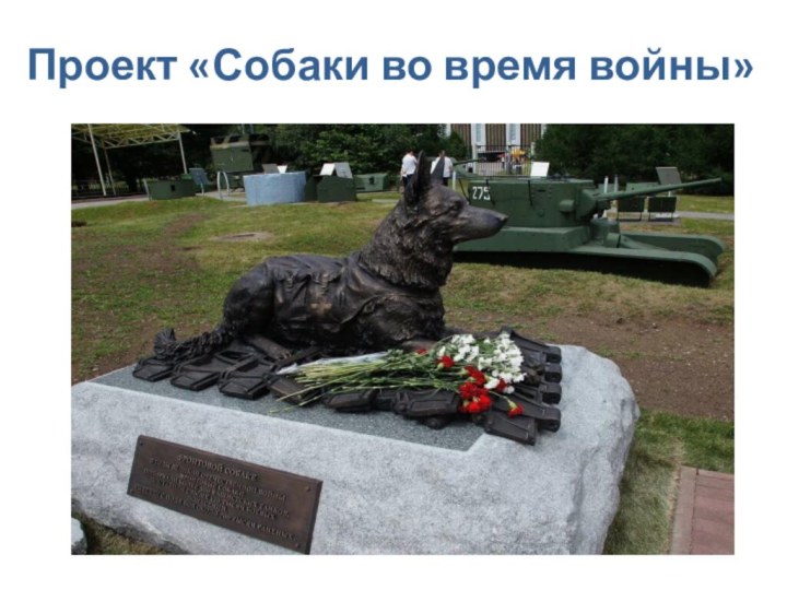 Проект «Собаки во время войны»