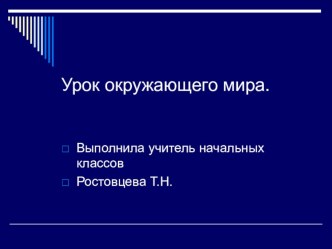 Презентация по окружающему миру Животноводство презентация к уроку по окружающему миру (3 класс)