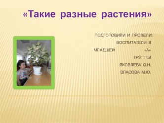 Проект Такие разные растения презентация к уроку по окружающему миру (младшая группа)