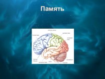 Презентация по теме Память занимательные факты по окружающему миру (1 класс) по теме