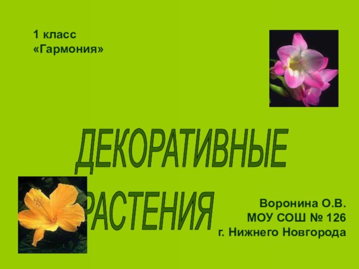 ДЕКОРАТИВНЫЕ РАСТЕНИЯВоронина О.В.МОУ СОШ № 126г. Нижнего Новгорода1 класс«Гармония»