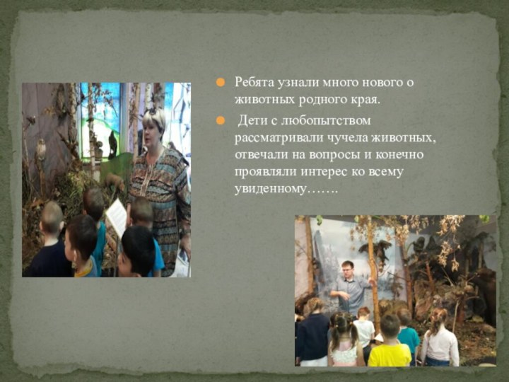 Ребята узнали много нового о животных родного края. Дети с любопытством рассматривали