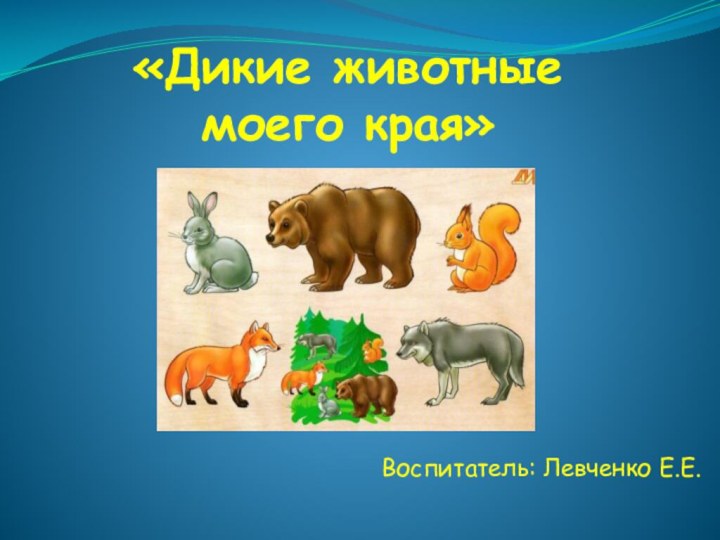 «Дикие животные моего края»Воспитатель: Левченко Е.Е.