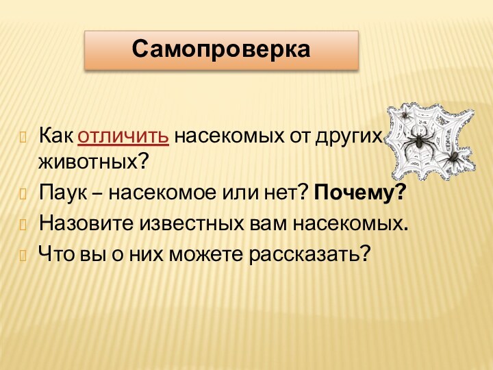 Как отличить насекомых от других животных?Паук – насекомое или нет? Почему?Назовите известных