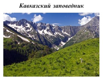 Кавказский заповедник презентация занятия для интерактивной доски (старшая группа)