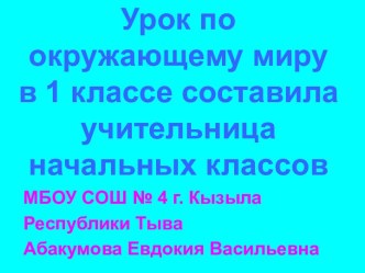 Презентация урока Зачем нужно много есть овощей, фруктов и ягод по окружающему миру в 1 классе презентация к уроку по окружающему миру (1 класс) по теме