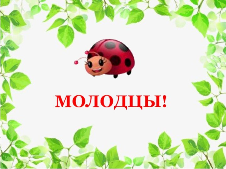 МОЛОДЦЫ!