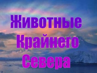 Животные Крайнего Севера средняя группа презентация к уроку по окружающему миру (средняя группа)