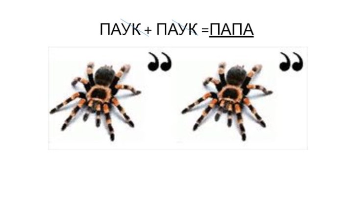 ПАУК + ПАУК =ПАПА