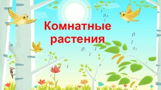 Презентация: Комнатные растения! презентация к уроку по окружающему миру (2 класс) по теме