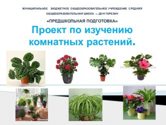 Экспериментальная работа Комнатные растения презентация к уроку по окружающему миру (2 класс)
