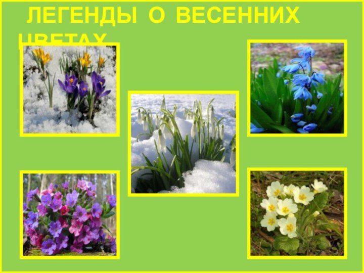 ЛЕГЕНДЫ О ВЕСЕННИХ ЦВЕТАХ