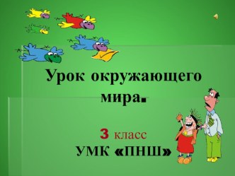 Презентация к уроку окружающего мира в 3 классе УМК ПНШ Значение леса презентация к уроку по окружающему миру (3 класс) по теме