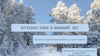 Презентация Путешествие в зимний лес презентация к уроку по окружающему миру (средняя группа)