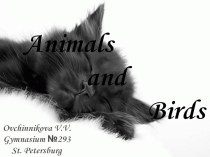 Animals презентация к уроку по иностранному языку (1 класс)