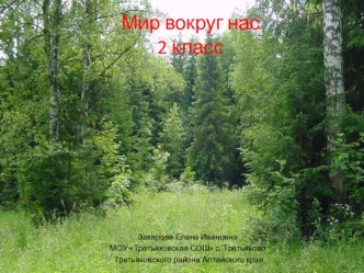 Окружающий мир Лесные опасности 1 класс презентация к уроку по окружающему миру (1 класс) по теме