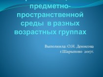 Особенности организации развивающей предметно-пространственной среды в разных возрастных группах материал