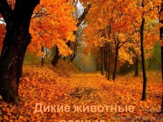 Презентация Жизнь зверей осенью презентация к уроку (подготовительная группа)