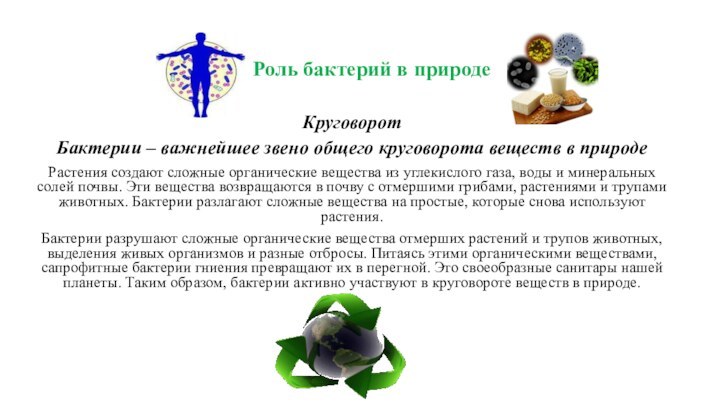 Роль бактерий в природе КруговоротБактерии – важнейшее звено общего круговорота веществ в