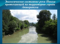 Исследовательская работа Экологическое состояние реки Пшеха протекающей по территории города Апшеронска проект по окружающему миру (1 класс)